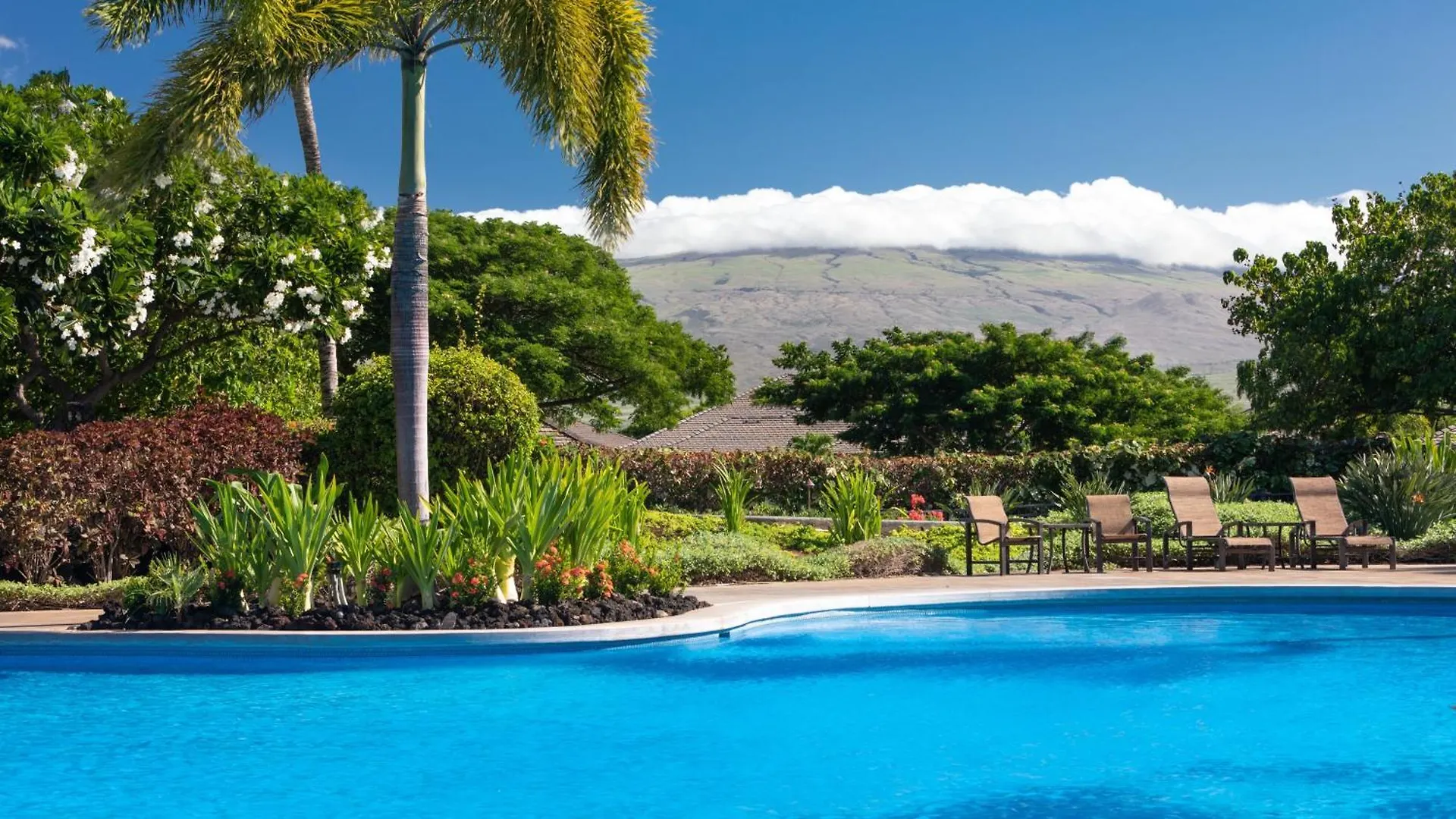 Pualani Villa Single Level 4Br Kamilo Home With Pool And Cottage Waikoloa