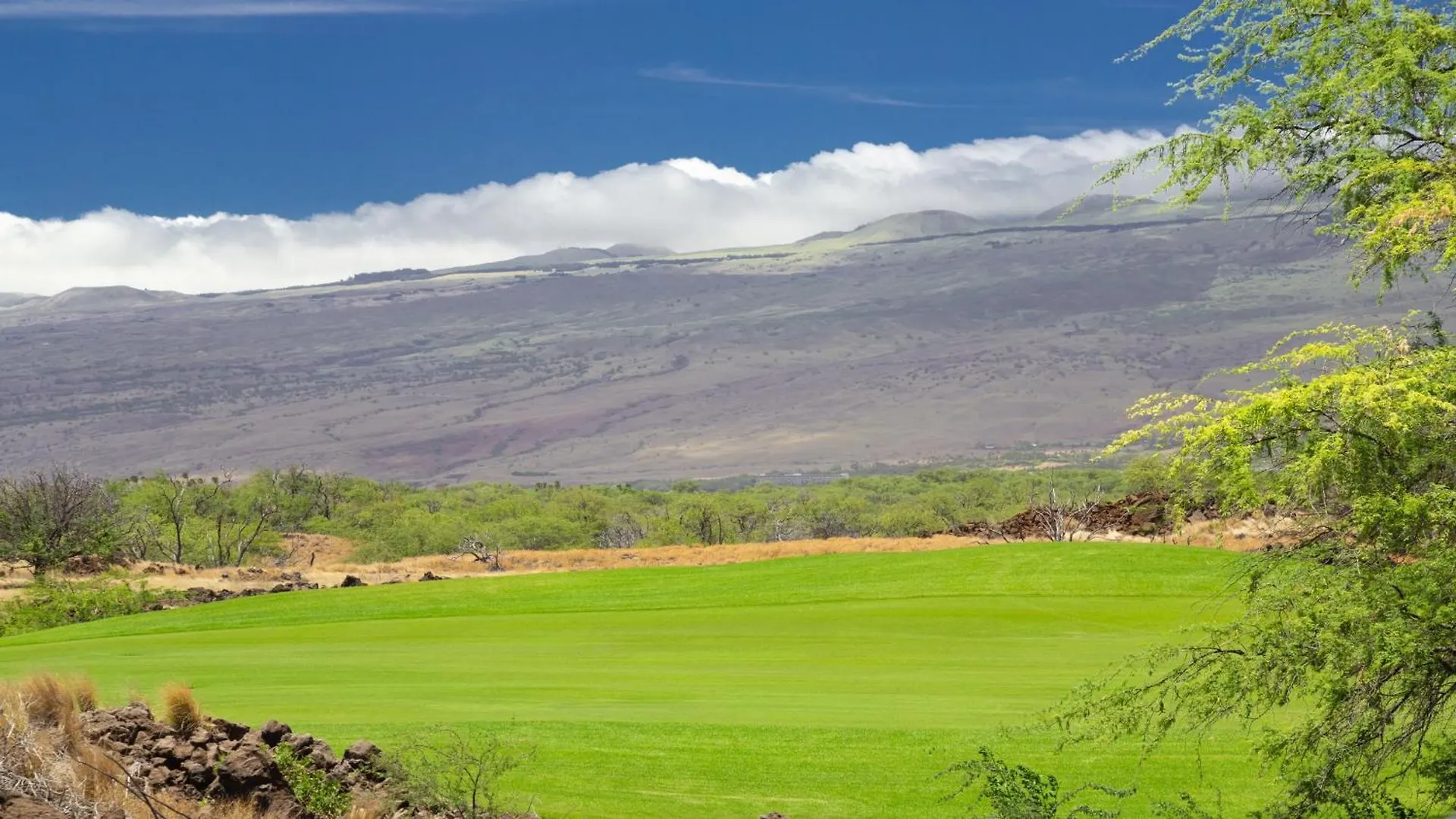 Pualani Villa Single Level 4Br Kamilo Home With Pool And Cottage Waikoloa 0*,